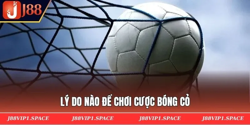 Lý do nào để chơi cược bóng cỏ